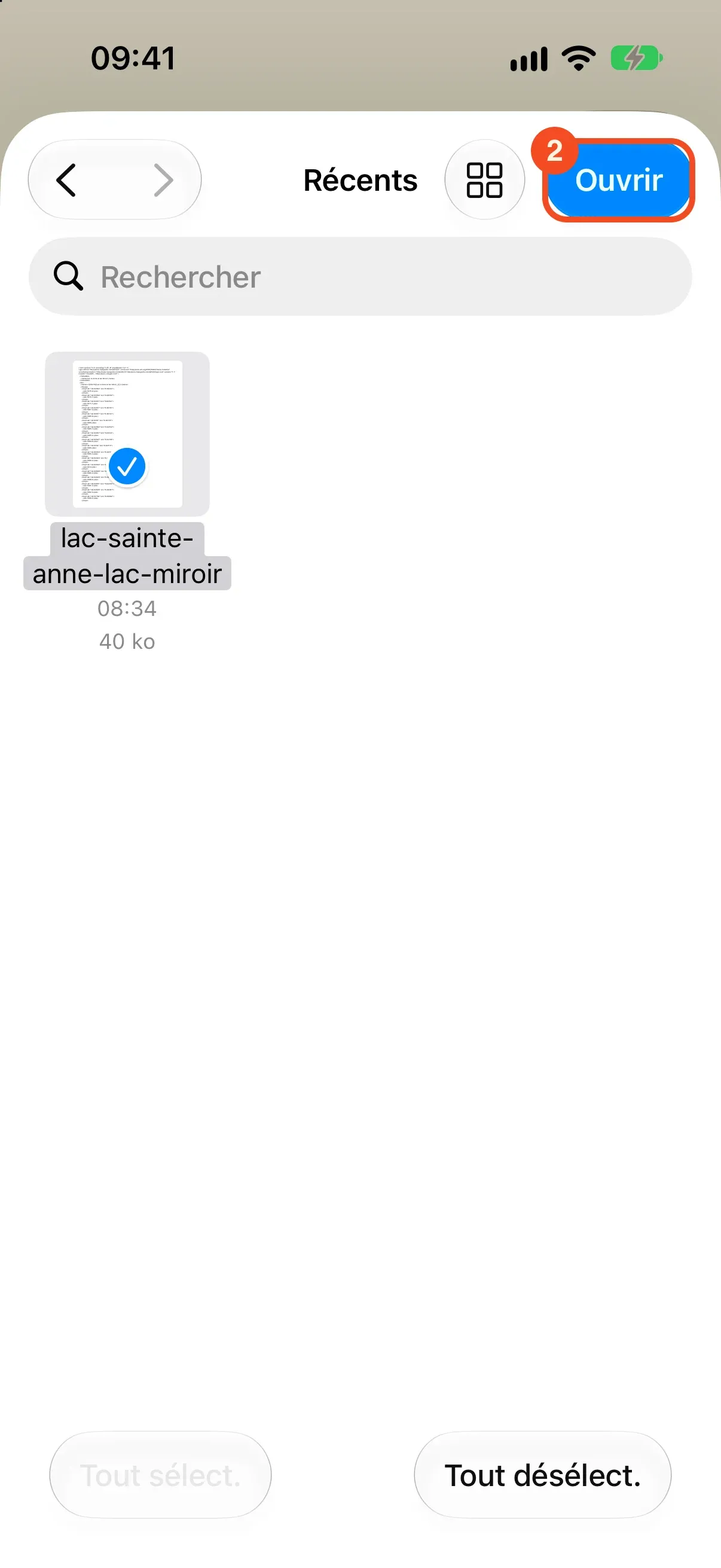 Le fichier GPX coché dans le sélecteur, avec le bouton Ouvrir entouré en haut à droite