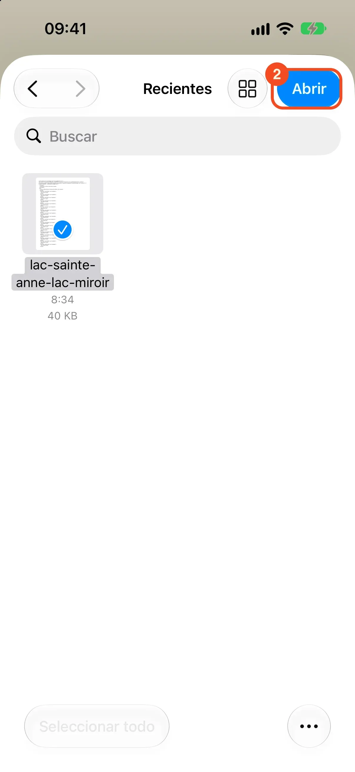 El archivo GPX marcado en el selector, con el botón Abrir de arriba a la derecha rodeado