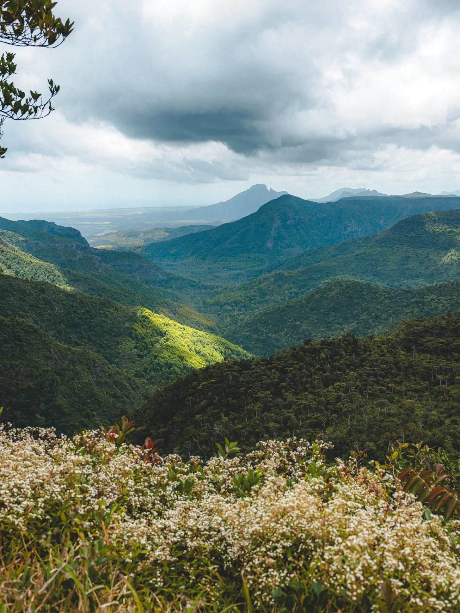 Une vallée de forêt tropicale sous les nuages, à l'île Maurice